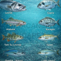 Silikon Balık Yemi Kurt - 6 CM - 10 ADET – Levrek, Çupra, Tatlı Su, Spin Olta ve Kıyı Atışı Uyumlu Arkhelais Fishing