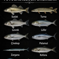 10'Lu Rapala Minnow Seti (9gr - 10cm) Arkhelais Fishing
