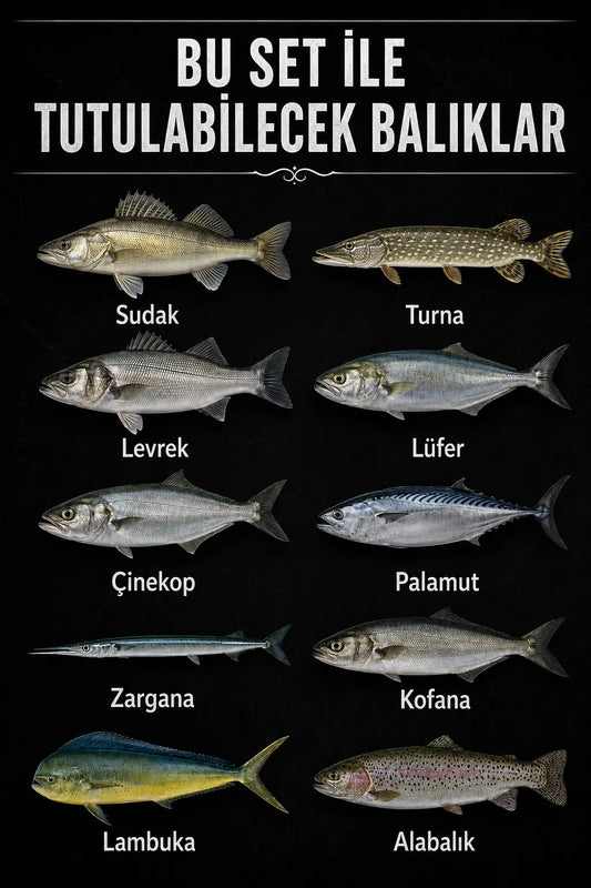 10'Lu Rapala Minnow Seti (9gr - 10cm) Arkhelais Fishing
