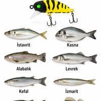 Hanfish Bıdık Arı (3,5cm 3,1gr) Arkhelais Fishing