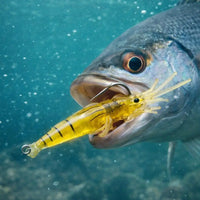 Karides Görünümlü Silikon Balık Yemi 10’lu Paket Arkhelais Fishing