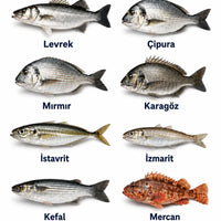 Karides Silikon Yem - Hazır Balık Yemi - LRF Yem - Levrek Çupra Yemi - Jigheadli 5’li Set - 7 cm 6 gr Arkhelais